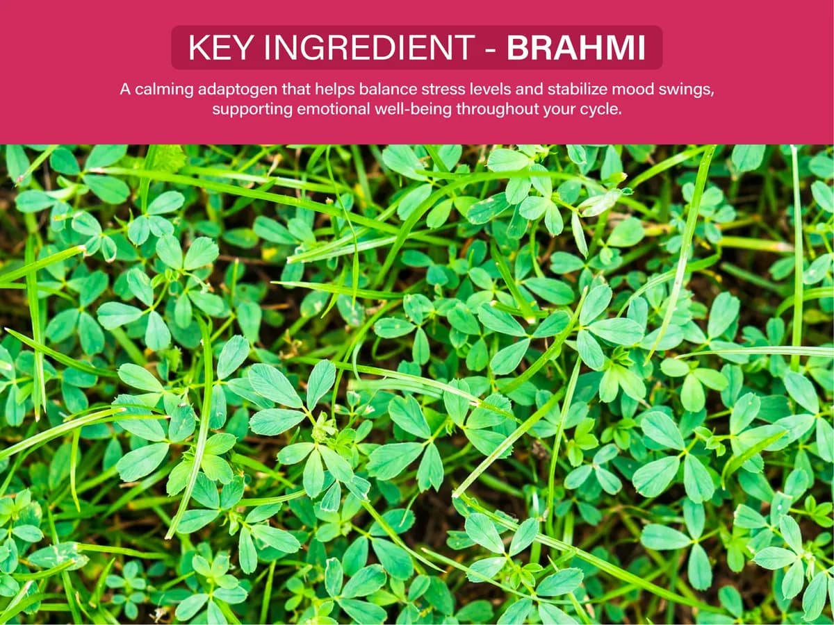 Key ingredient: Brahmi
